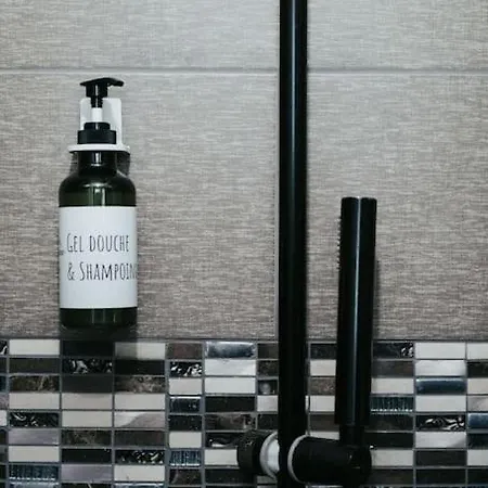 Maison 12 Couchages Confort - 11b Vialle St Gene Appartamento Saint-Genès-Champanelle